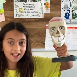 At Verita, every lesson is a chance to spark curiosity and build connections that stretch far beyond a single subject. Here’s a perfect example.

In their IPC unit Brain Wave, Mr. Matt and Ms. Eleni created an experience that blended science, creativity, and collaboration in the most memorable way. To deepen their understanding of states of matter, students weren’t just told about solids, liquids, and cooling. They were challenged to bring that knowledge to life by recreating the human brain…from JELLO! 😱

Each class took responsibility for one hemisphere, working step by step through the process of stirring, cooling, fitting, and refining. Along the way, they weren’t just reviewing scientific principles, they were practicing teamwork, problem solving, and the patience it takes to turn an idea into reality. What started as a science lesson quickly became a lesson in creativity, resilience, and connection.

By the end, two groups of students joined their efforts to form a colorful, tangible model of the brain. A playful experiment on the surface, but also a powerful reminder of how knowledge takes shape when we link ideas across subjects, and when children are encouraged to think both critically and creatively.

This is what makes the IPC so special at Verita: students don’t simply learn facts, they experience them, connect them, and carry them forward into everything else they do.