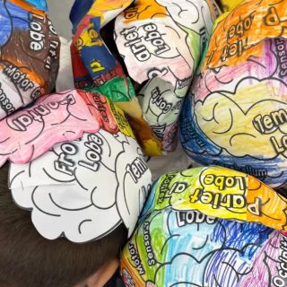 If you ever wanted proof that young minds are powerful, our Brain Exit Point made it impossible to forget… which is fitting, considering students spent weeks learning exactly how memory works.

Parents were invited into a full showcase of learning where our students took the lead. They explained how different parts of the brain control everything from movement and balance to emotions, decision-making, and problem-solving. They showed how neurons fire and communicate, how habits form, why sleep and nutrition matter, and even how the brain protects us when we feel overwhelmed.

And they didn’t just tell us. They demonstrated it through hands-on activities, creative projects, quizzes, models, and songs that made the science feel alive.

Events like this are essential. They let parents step inside the learning process, see the depth of understanding behind the fun, and understand exactly what their children are building: real scientific literacy, real confidence, and real-world knowledge that sticks — literally lighting up new neural pathways as they share it.

A perfect example of how curiosity, creativity, and education work together at Verita.